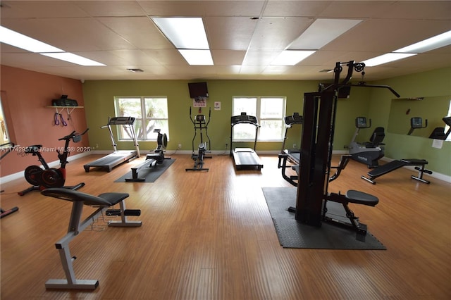 exercise room with a drop ceiling, hardwood / wood-style floors, and plenty of natural light