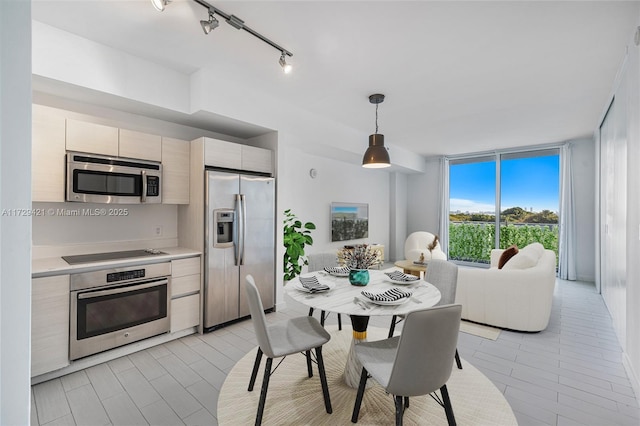 kitchen featuring pendant lighting, rail lighting, expansive windows, and appliances with stainless steel finishes