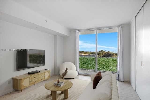 living room with expansive windows