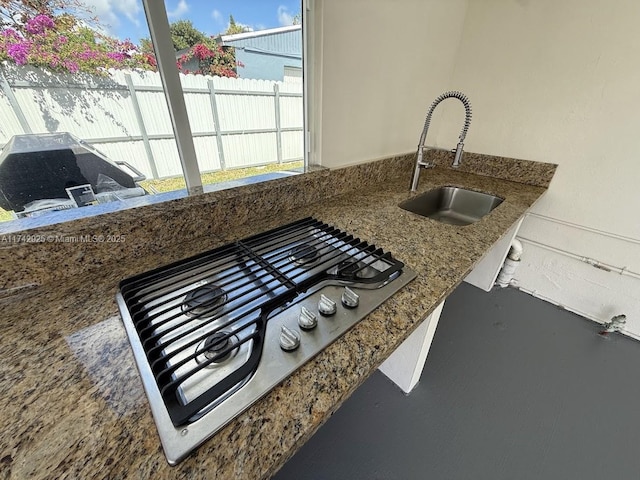 details with sink and stainless steel gas cooktop