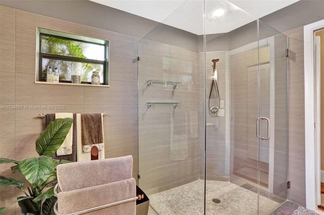 bathroom featuring a shower with door