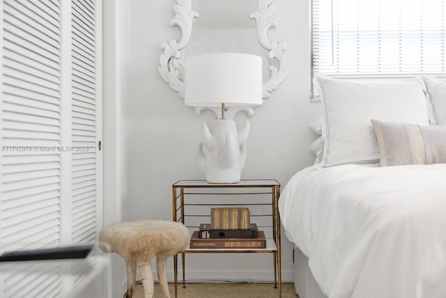 bedroom with a closet