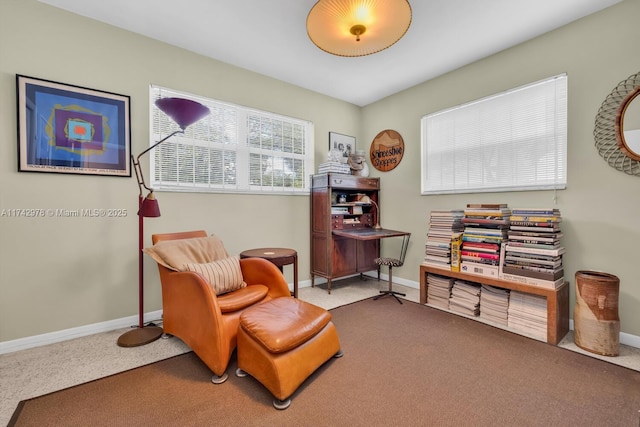 sitting room featuring carpet flooring