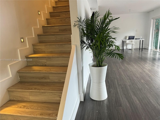 staircase featuring wood-type flooring