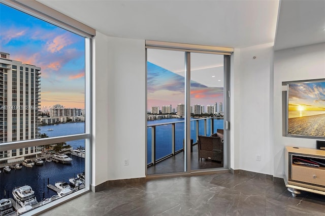 interior space featuring a water view, a healthy amount of sunlight, and expansive windows