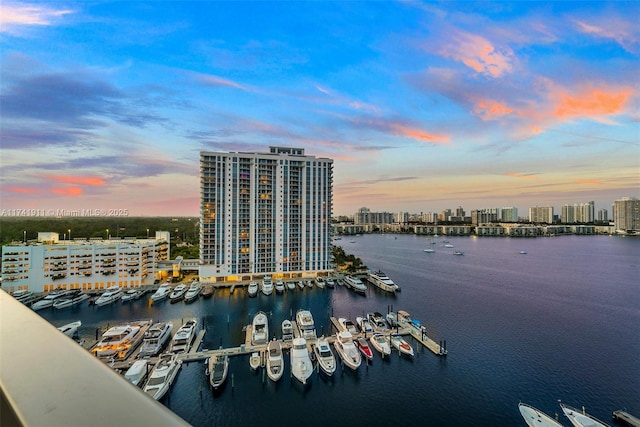 property view of water with a dock