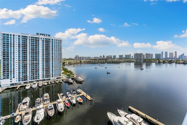 water view featuring a boat dock