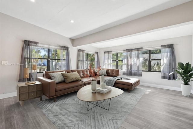 living room featuring vaulted ceiling and hardwood / wood-style floors