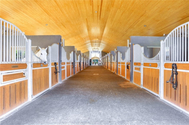 view of stable