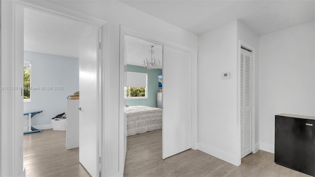 corridor featuring light hardwood / wood-style flooring, a chandelier, and plenty of natural light