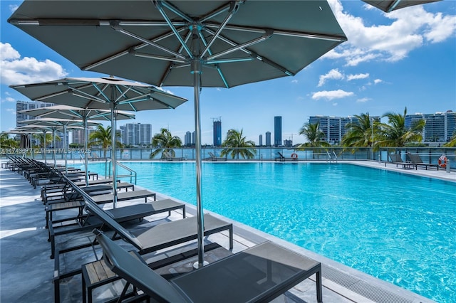 view of pool featuring a patio