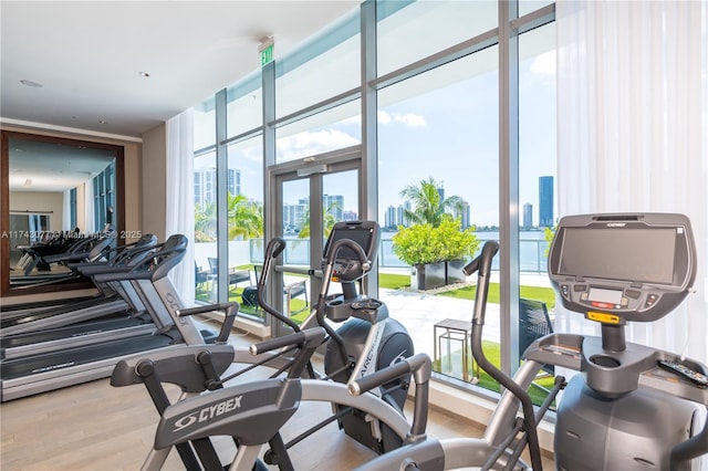 gym featuring hardwood / wood-style flooring and floor to ceiling windows