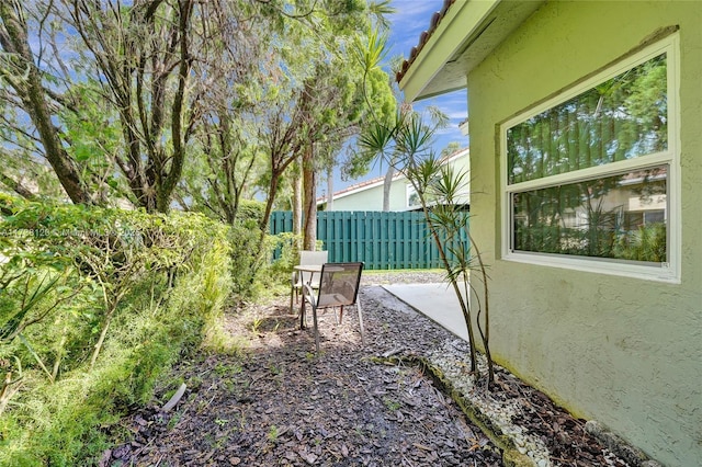 view of yard with a patio