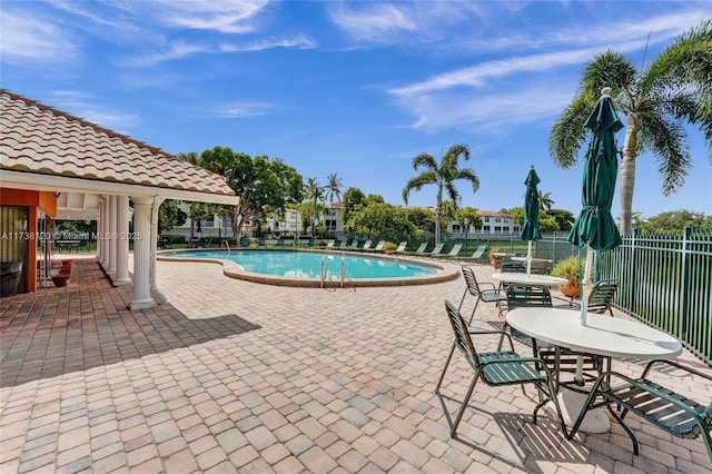 view of swimming pool with a patio