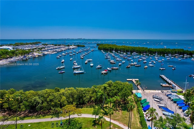 2951 S Bayshore Dr Unit 911, Miami, FL 33133 - photo 23