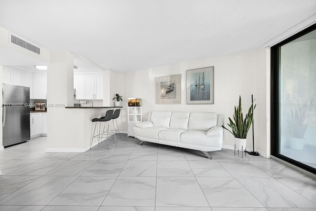 living room with sink