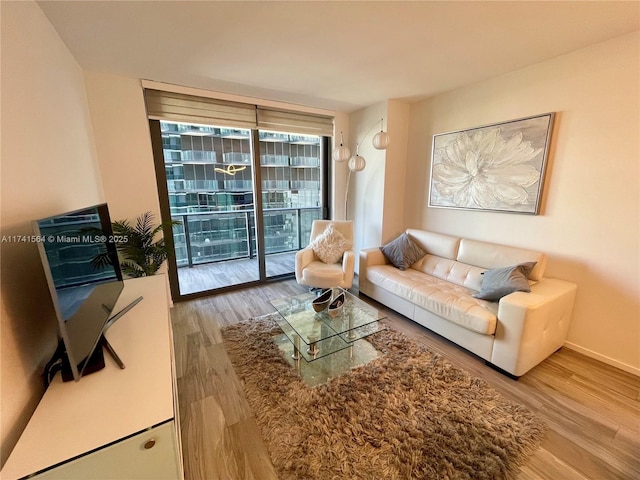 living room with wood-type flooring and floor to ceiling windows