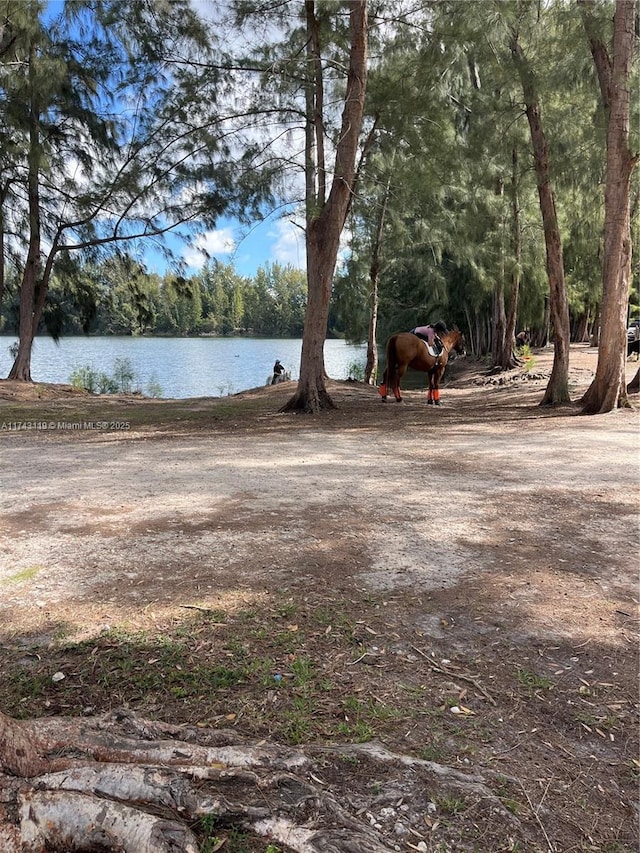 view of yard with a water view