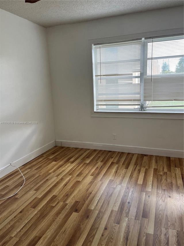 spare room with wood-type flooring, a textured ceiling, and plenty of natural light