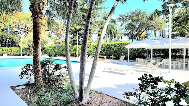 view of pool with a gazebo and a patio