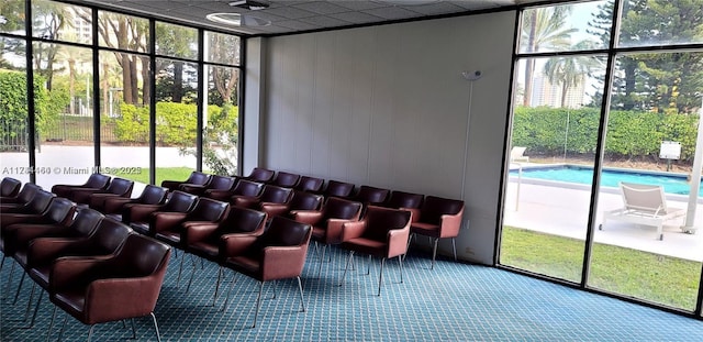 home theater with a healthy amount of sunlight, carpet flooring, and wood walls