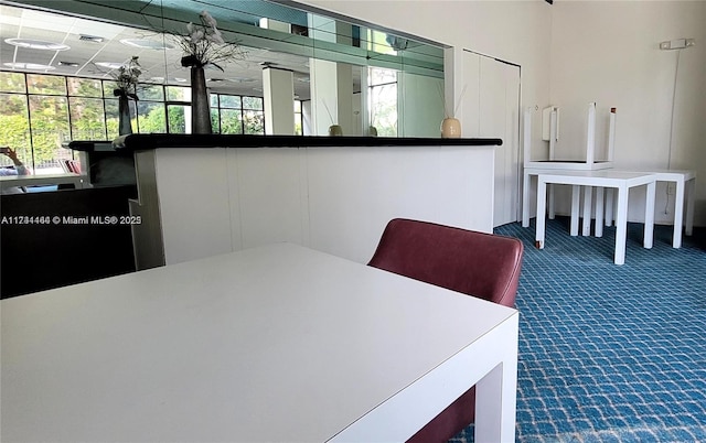 dining room featuring carpet floors
