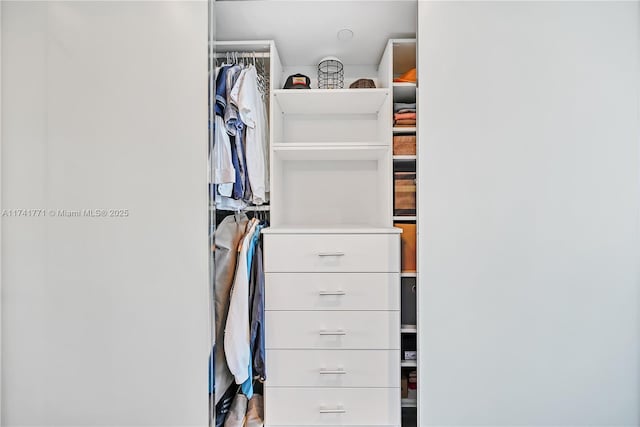 view of walk in closet