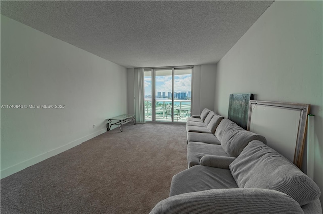 carpeted living room featuring expansive windows and a textured ceiling