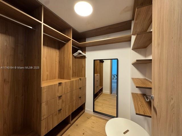 spacious closet featuring light wood-type flooring