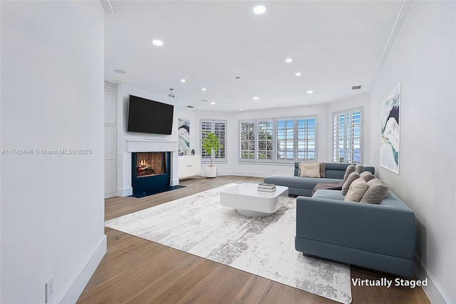 living room with wood-type flooring