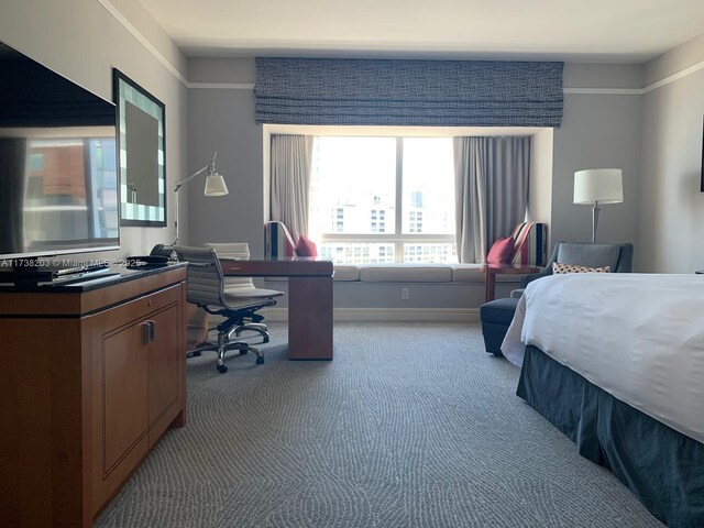 1435 Brickell Ave Unit 3506, Miami, FL 33131 - view of carpeted bedroom