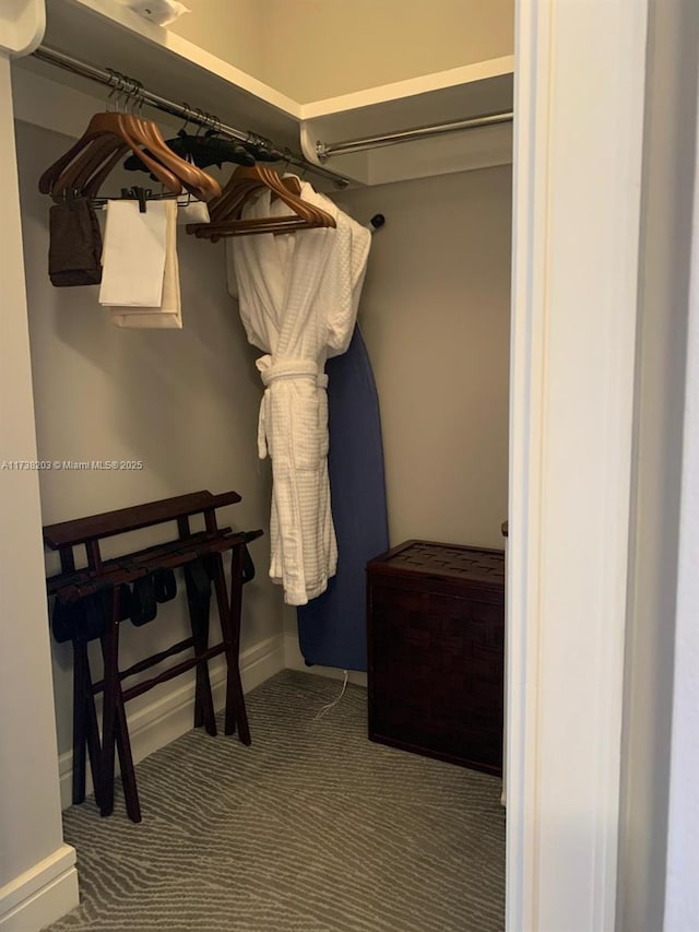 1435 Brickell Ave Unit 3506, Miami, FL 33131 - walk in closet featuring carpet floors