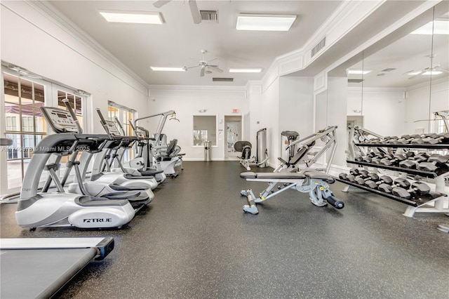 exercise room with crown molding and ceiling fan