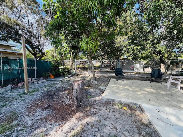 view of yard with a patio area