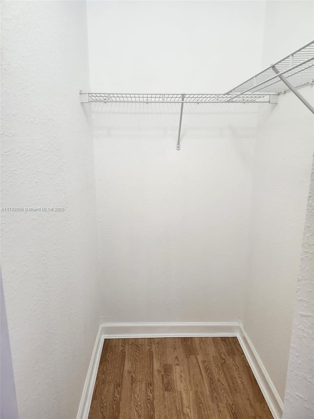 spacious closet with hardwood / wood-style floors