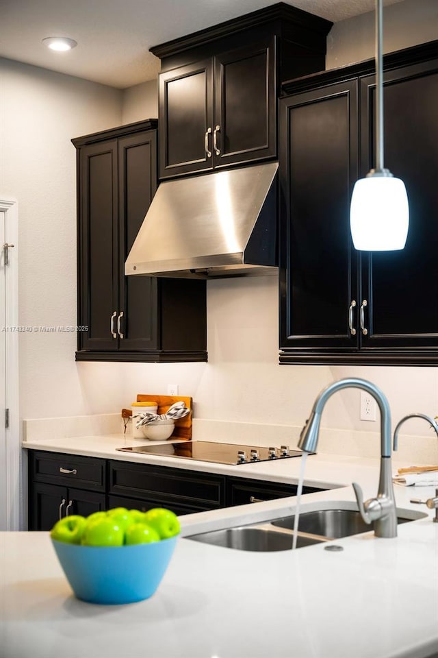 kitchen featuring black electric cooktop and sink