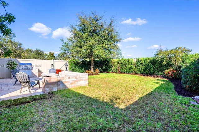 view of yard with a patio