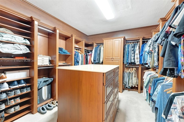 spacious closet with light carpet