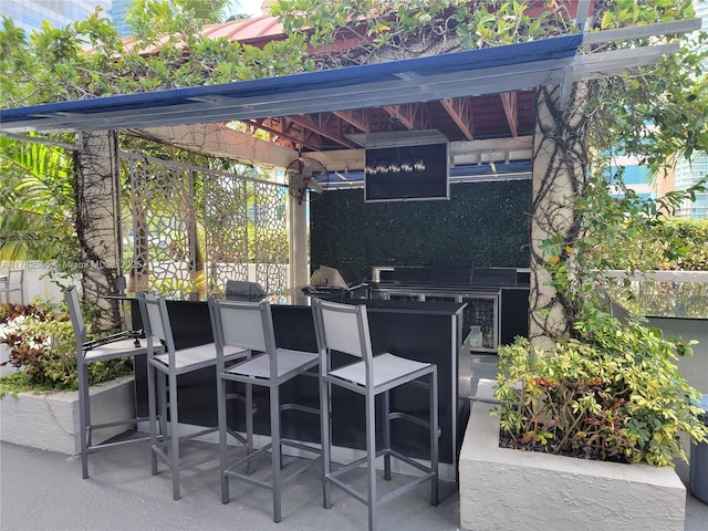 view of patio / terrace featuring exterior bar and exterior kitchen