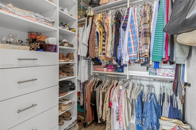 walk in closet featuring wood-type flooring