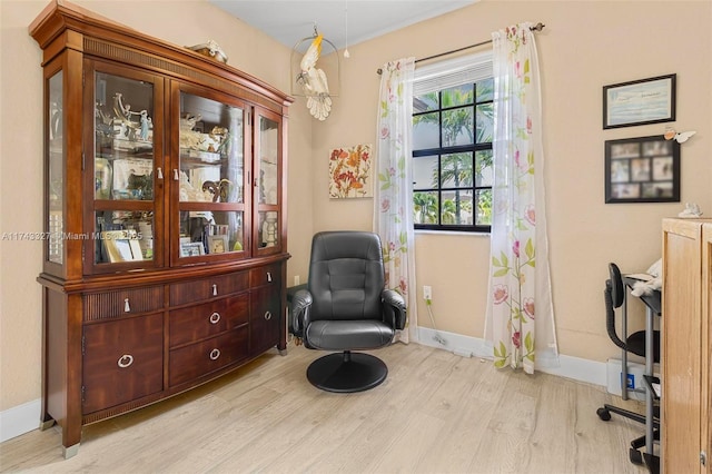 sitting room featuring light hardwood / wood-style flooring