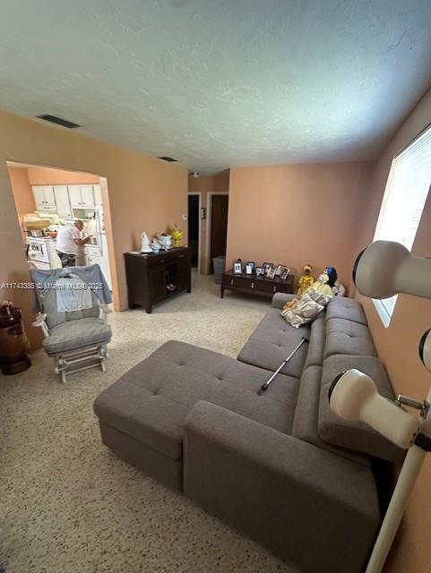 living room with a textured ceiling