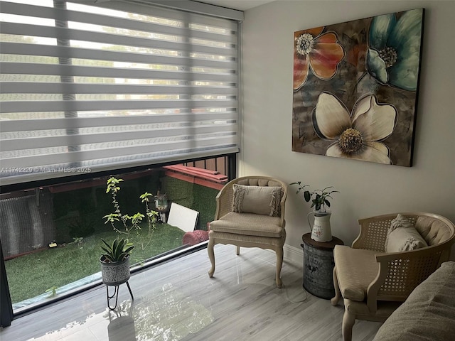 living area featuring a healthy amount of sunlight and light wood-type flooring