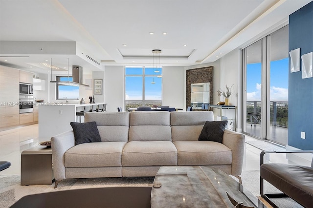 living room featuring a tray ceiling