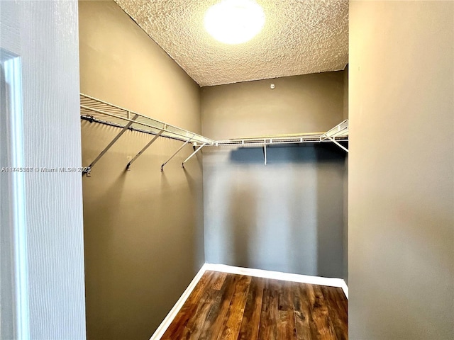 walk in closet with dark hardwood / wood-style floors