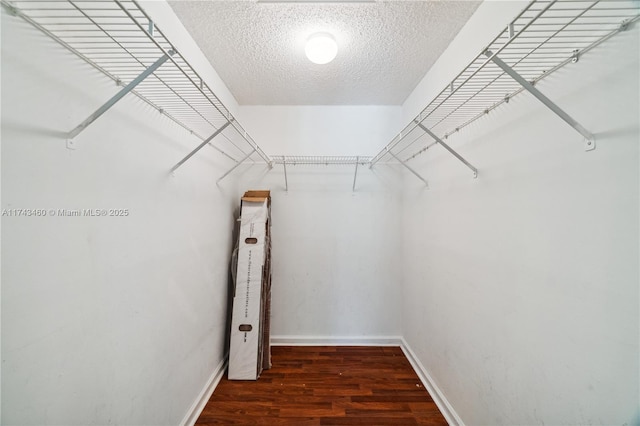 spacious closet featuring dark hardwood / wood-style flooring