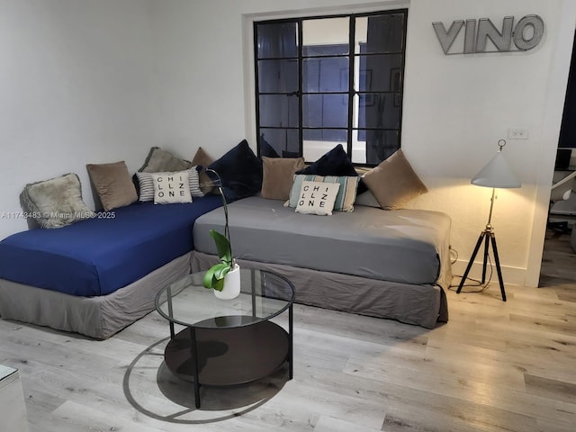 living room featuring light hardwood / wood-style flooring