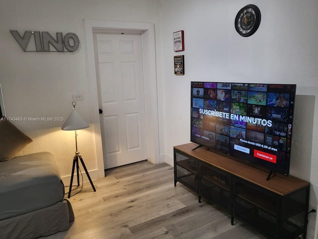 living room featuring wood-type flooring