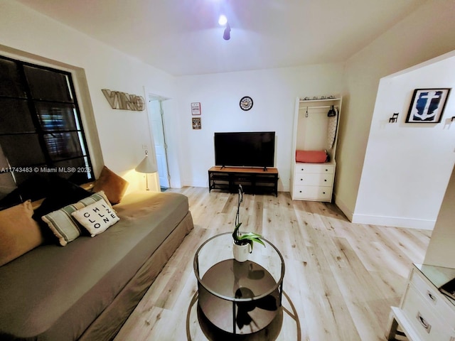 living room with light wood-type flooring