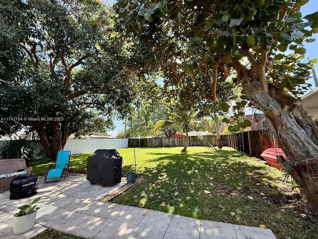 view of yard with a patio